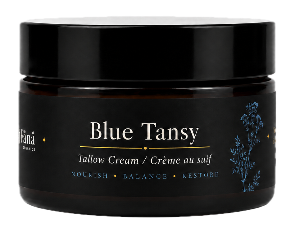 Blue Tansy